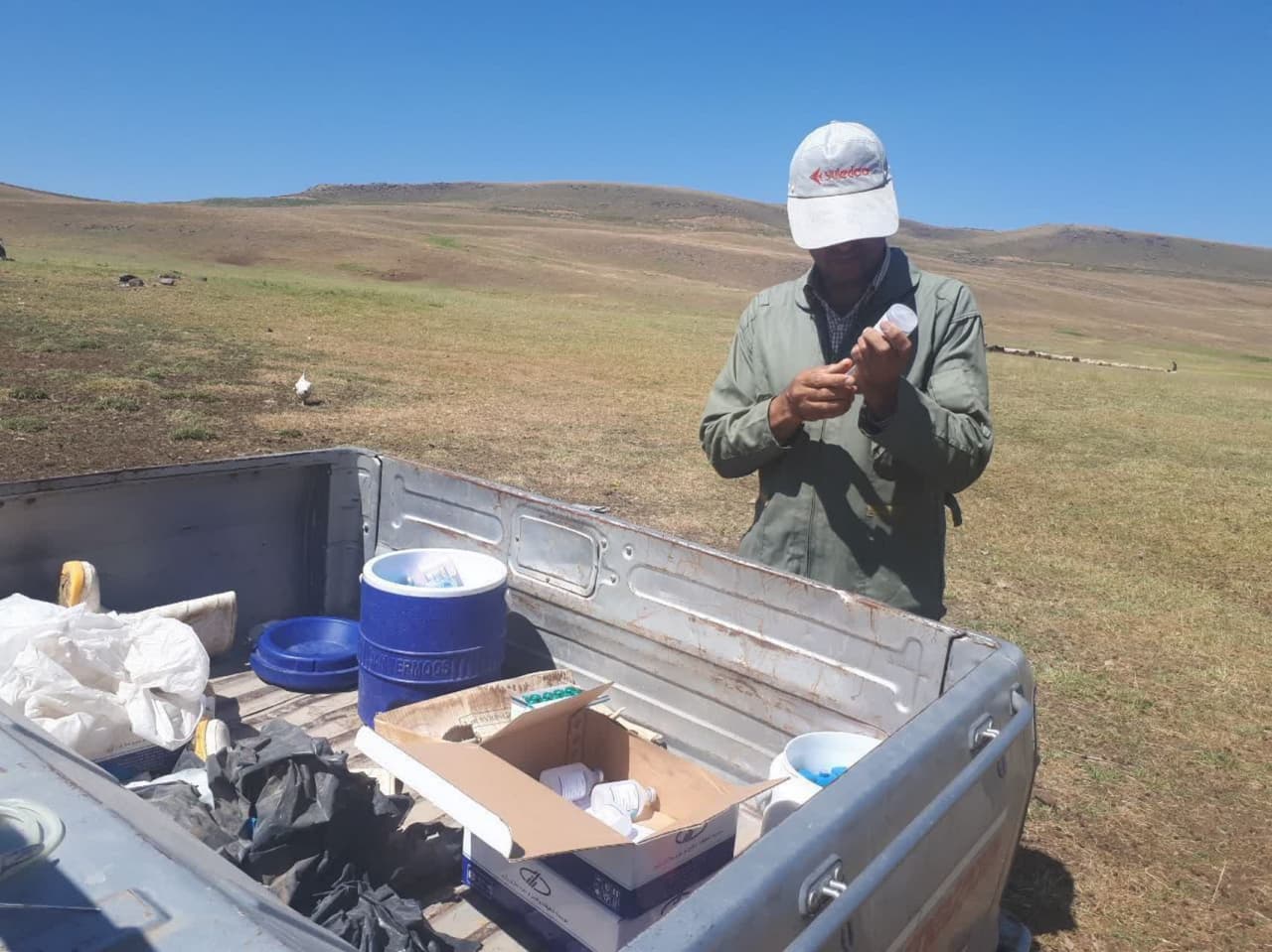 برگزاری اردوهای جهادی گروه جهادی شبکه دامپزشکی و بسیج جامعه کشاورزی